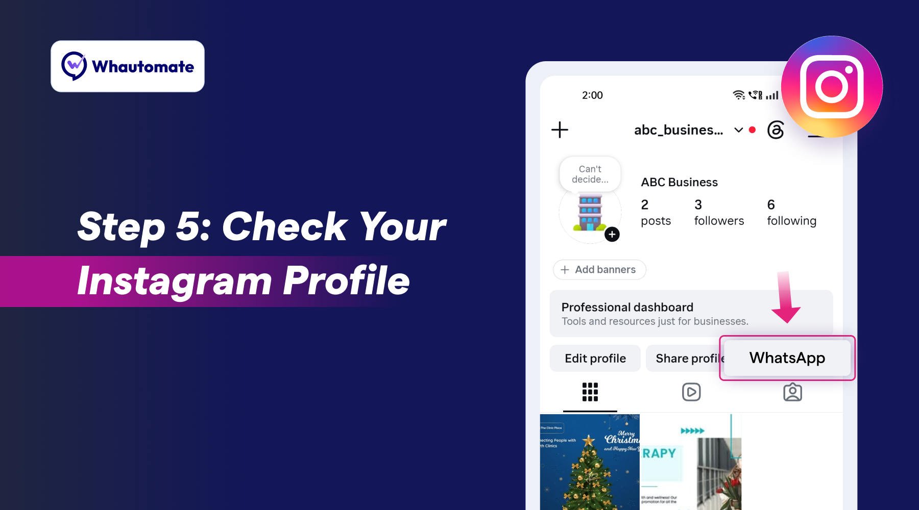 check_your_instagram_profile